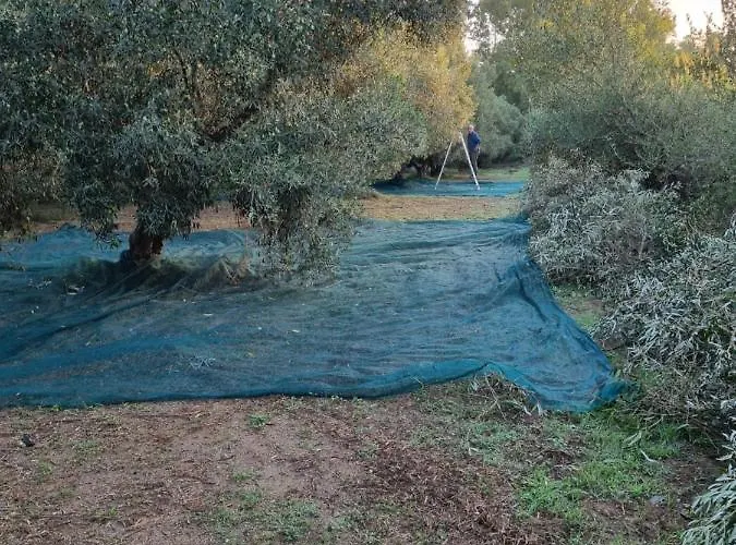 Majori Séjour à la ferme