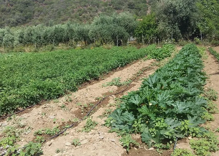 Majori Séjour à la ferme *