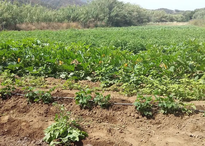 Séjour à la ferme Majori Fluminimaggiore