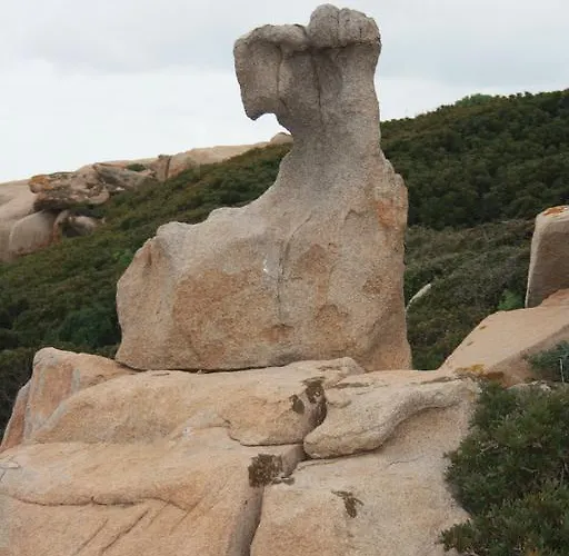 Séjour à la ferme Majori