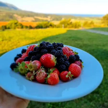 Majori Gospodarstwo agroturystyczne