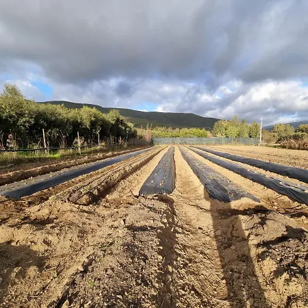 Majori Alojamento de Turismo Rural *