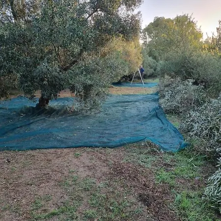 Majori Gospodarstwo agroturystyczne