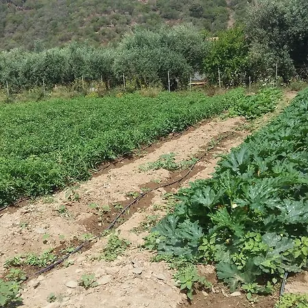 Majori Gospodarstwo agroturystyczne *