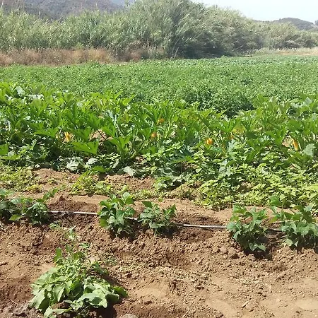 Alojamento de Turismo Rural Majori Fluminimaggiore