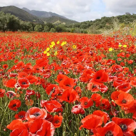 Majori Alojamento de Turismo Rural Fluminimaggiore