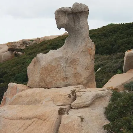 Alojamento de Turismo Rural Majori